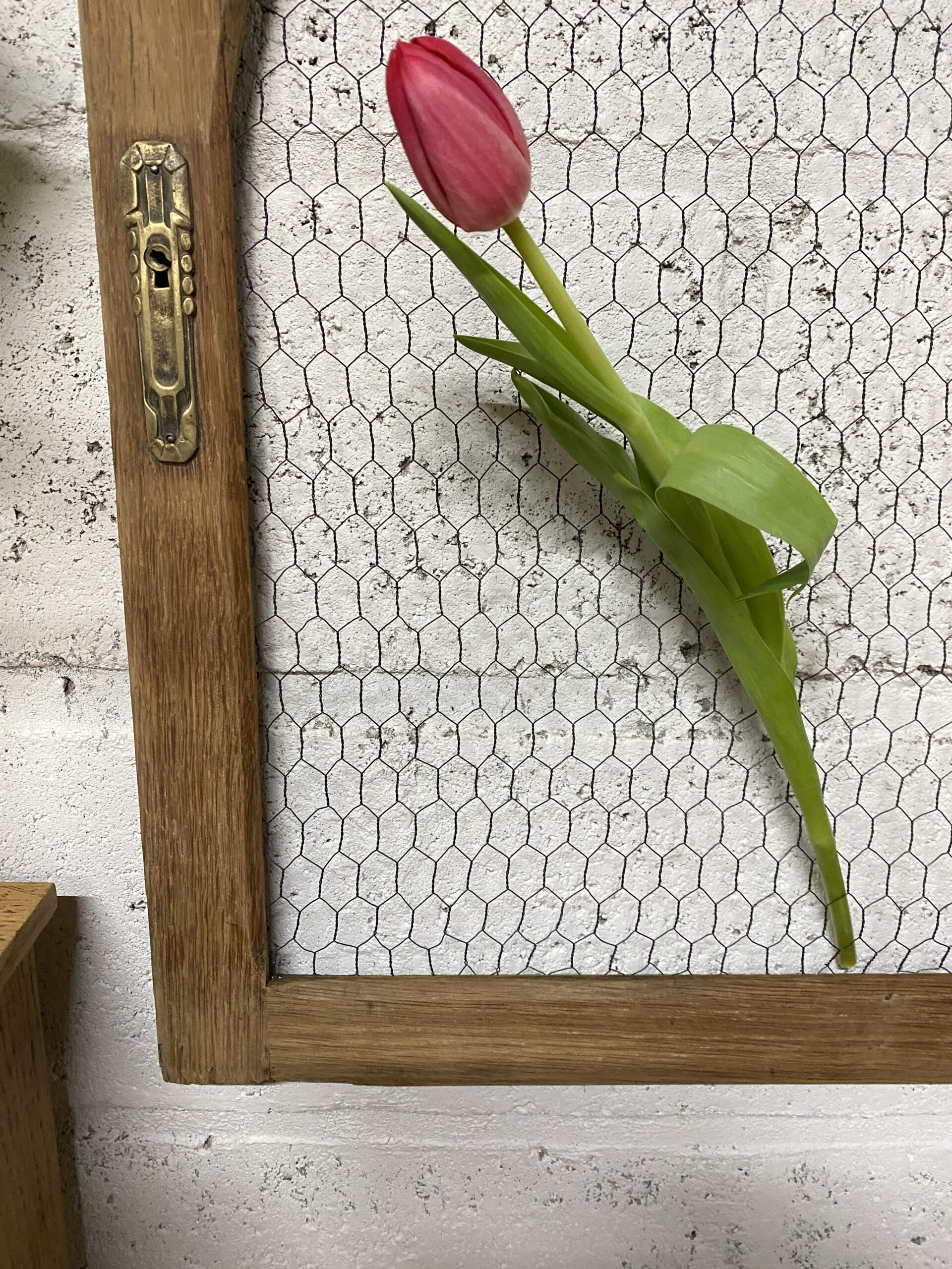 Cadre art déco grillagé - porte ancienne