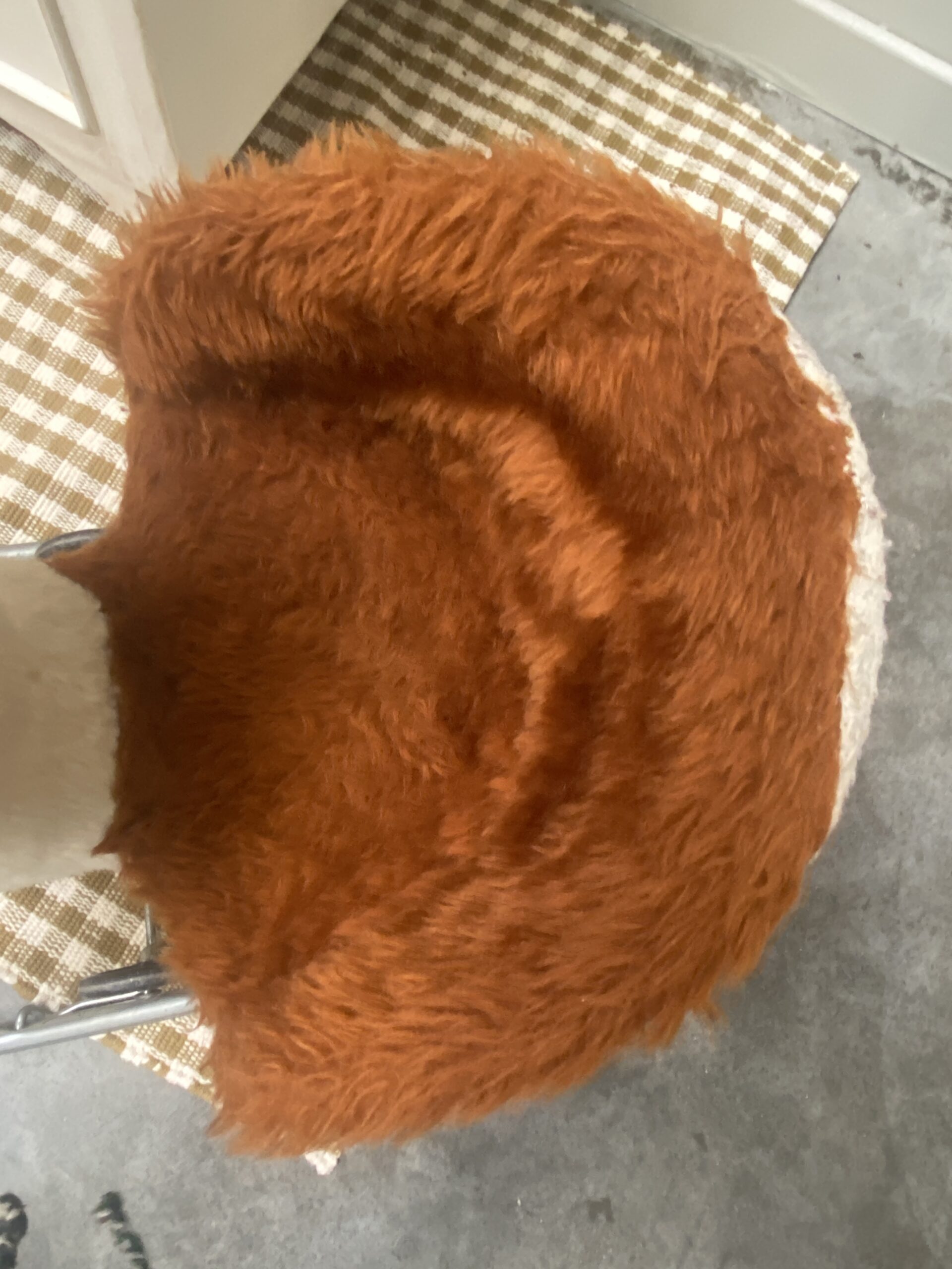 Le mouton à bascule "Gaston"