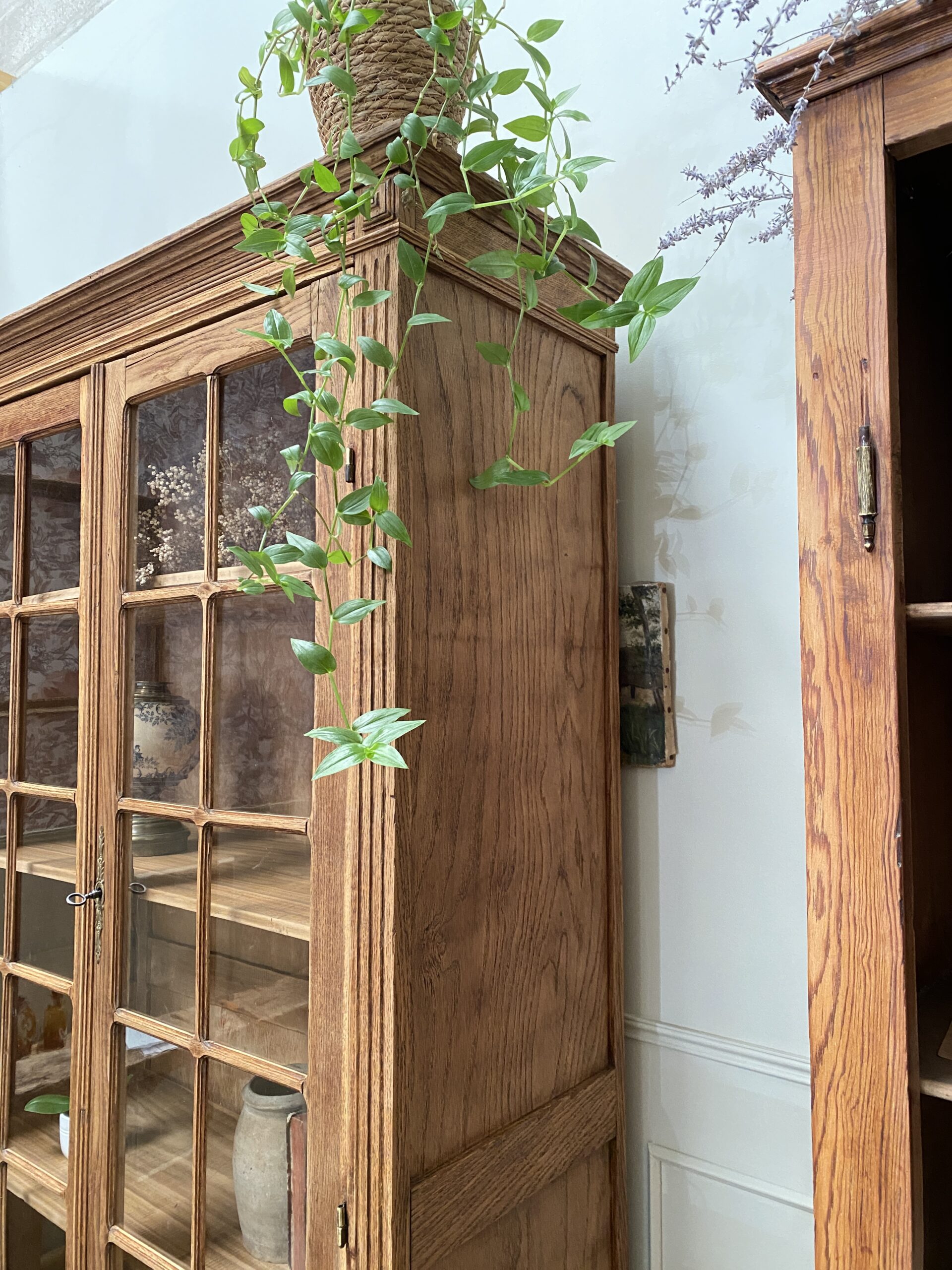 Vitrine-Bibliothèque en chêne